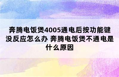 奔腾电饭煲4005通电后按功能键没反应怎么办 奔腾电饭煲不通电是什么原因